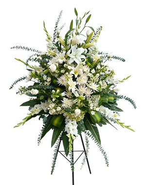 Ver detalle de Lagrima de pedestal