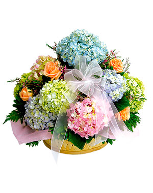 Ver detalle de Canasta de Hortencias