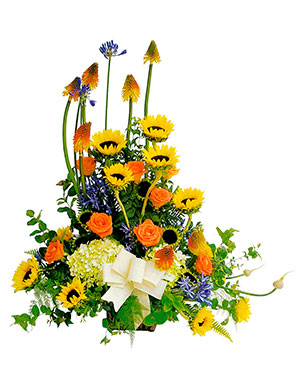 Ver detalle de Portugal