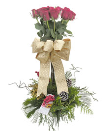 Ver detalle de Rosas Navideñas