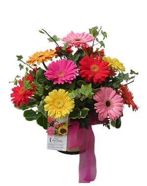 Ver detalle de Jardin de gerberas