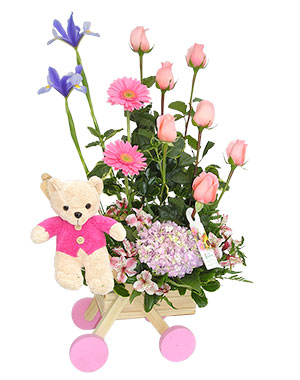 Ver detalle de Coche Mujer