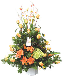 Ver detalle de Turin