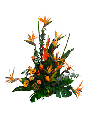 Ver detalle de Atenas