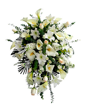 Ver detalle de Lagrima