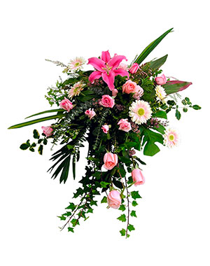 Ver detalle de Lagrima Especial