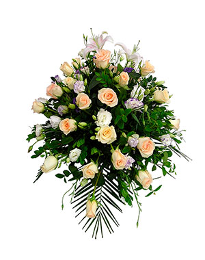 Ver detalle de Lagrima de Rosas