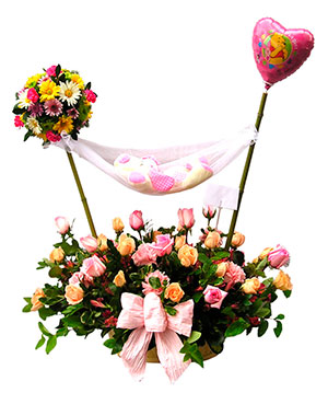 Ver detalle de Hamaca