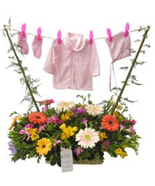 Ver detalle de Tendal