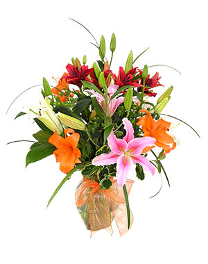 Ver detalle de Brunela