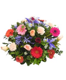 Ver detalle de Centro primavera