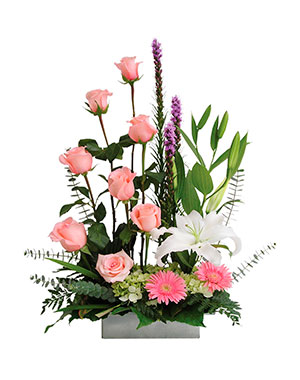 Ver detalle de Amsterdam