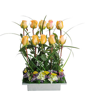 Ver detalle de Bombay