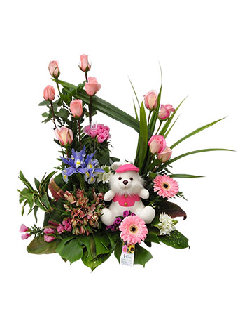 Ver detalle de Verdi