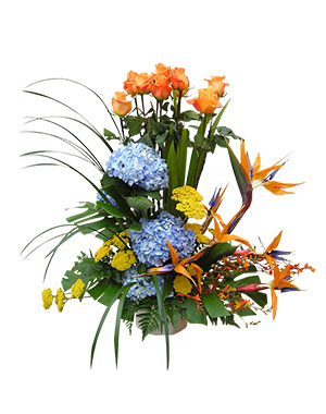 Ver detalle de Celeste