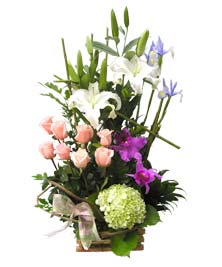 Ver detalle de Sensación