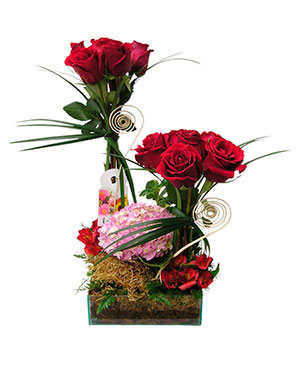 Ver detalle de Duo de rosas