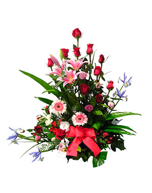 Ver detalle de Dalma