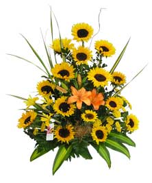 Ver detalle de Esperanza