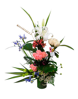 Ver detalle de Esmeralda