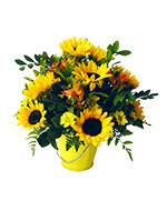 Ver detalle de Poesia de girasoles