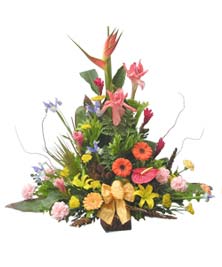 Ver detalle de Madrid