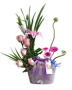 Ver detalle de Alicia