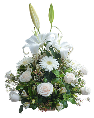 Ver detalle de Post Pesame