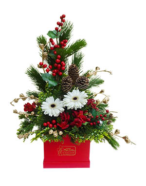 Ver detalle de Arreglo Noel