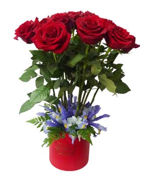 Ver detalle de Box Ilusion