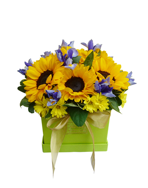 Ver detalle de Box Girasoles