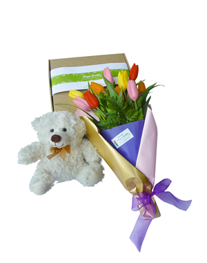 Ver detalle de Osos y Tulipanes