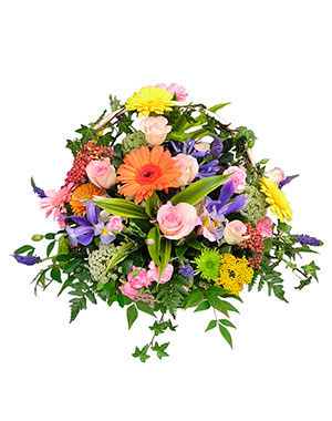 Ver detalle de Vanessa