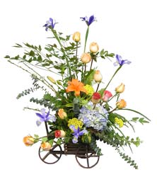 Ver detalle de Triciclo